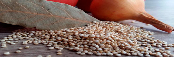 Beneficios de la Quinoa: el “grano madre”